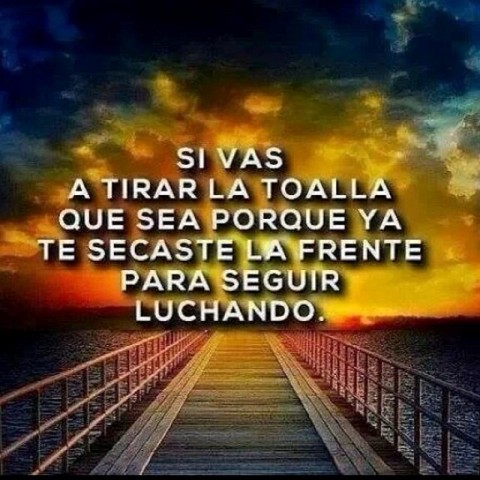 seguir luchando
