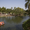 Rosedal, distinci�n internacional.