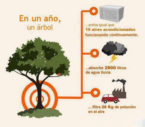 El �rbol es vida...