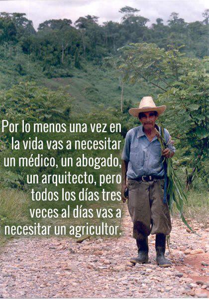 La lucha del agricultor por su trabajo y dignidad.