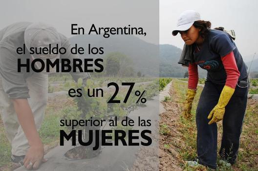 Segn organismos internacionales