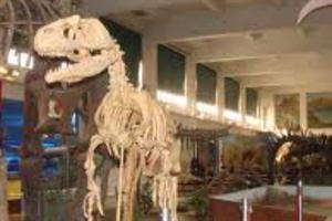 Museo de Ciencias Naturales Bernardino Rivadavia.