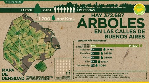 Arboles de Buenos Aires / gobierno porteo.