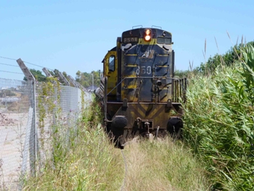 Locomotora en medio de yuyales
