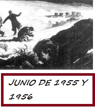 JUNIO 55