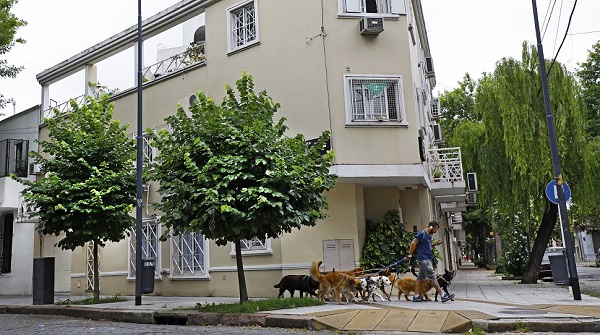 ARBOLES EN BUENOS AIRES