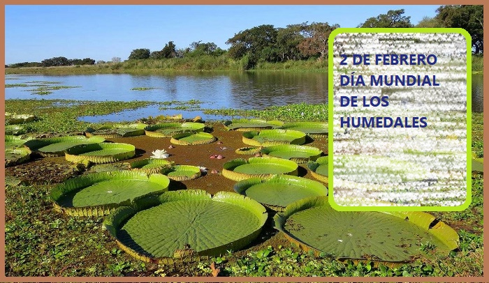 HUMEDALES